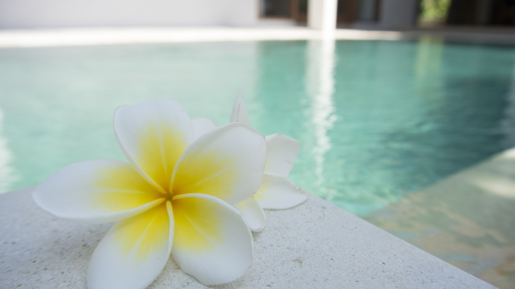 Piscine de spa
