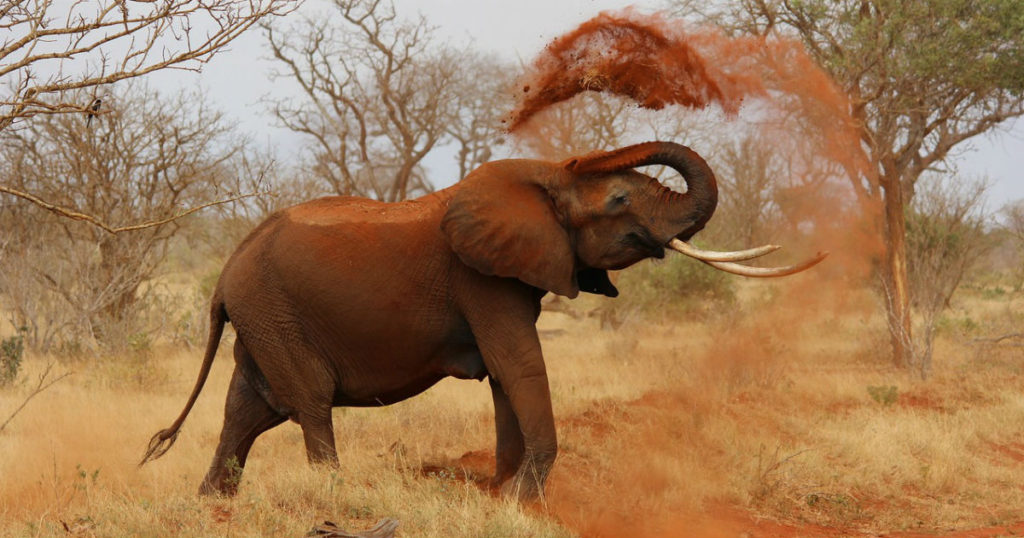 Kenya