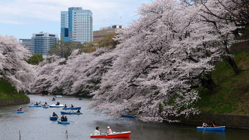 Lac à Tokyo
