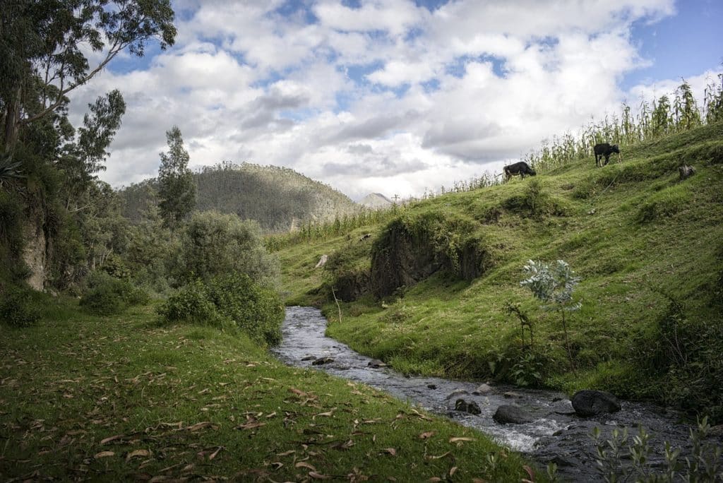 Petit ruisseau en zone rural