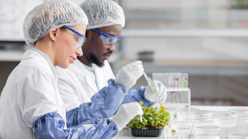 BTS Bioqualité : formez-vous pour garantir l'excellence dans les secteurs de la santé et de l'agroalimentaire